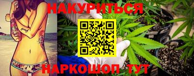 a pvp Кингисепп