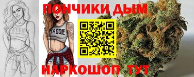a pvp Кингисепп