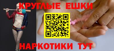 a pvp Кингисепп