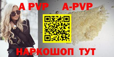 a pvp Кингисепп