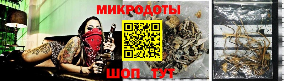 Королёв  Галлюциногенные грибы Magic Shrooms  закладки  Галлюциногенные грибы MAGIC MUSHROOMS  Вход с VPN 