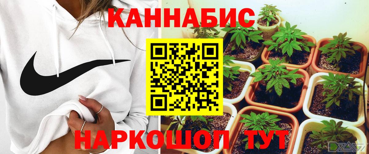 Каннабис White Widow Королёв